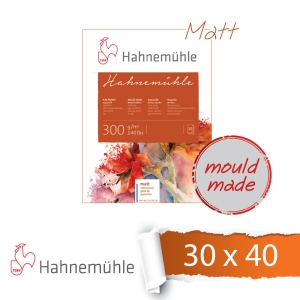 ϳ׹ķ300 äȭе_߸ matt(30x40) / 10(300g), 